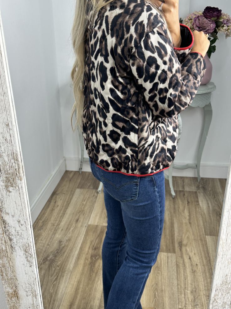 Abrigo estampado print