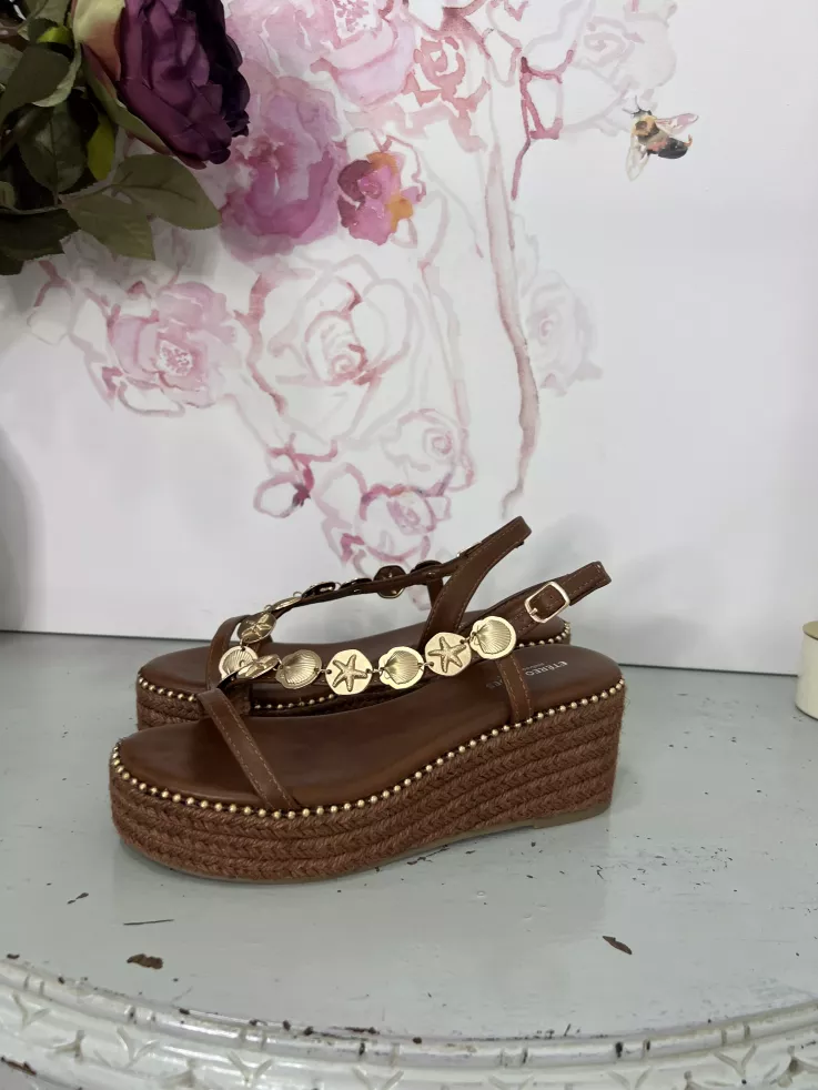 Cuñas marrón con monedas