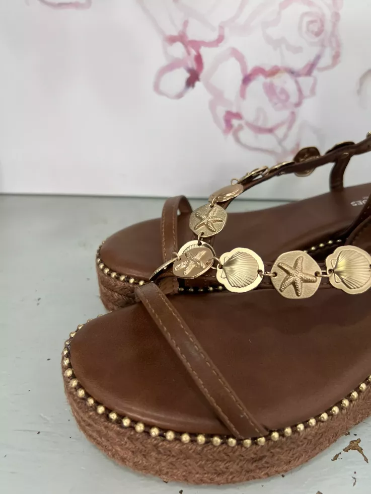 Cuñas marrón con monedas