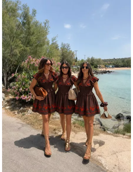 Vestido Dafne bordado choco